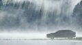 LEXUS RZ450E DIRECT4 Vertical